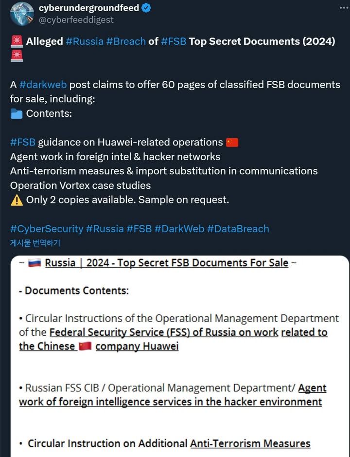 Alleged Russia Breach of FSB Top Secret Documents (2024)