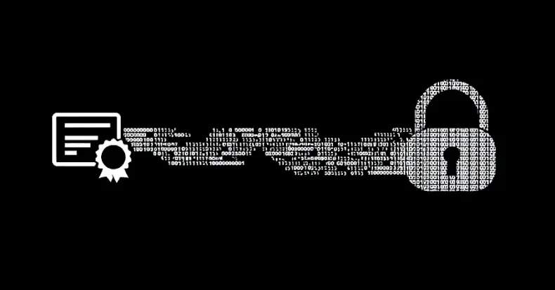 Microsoft Revokes 200 Fraudulent Certificates Used in Rhysida Ransomware Campaign

